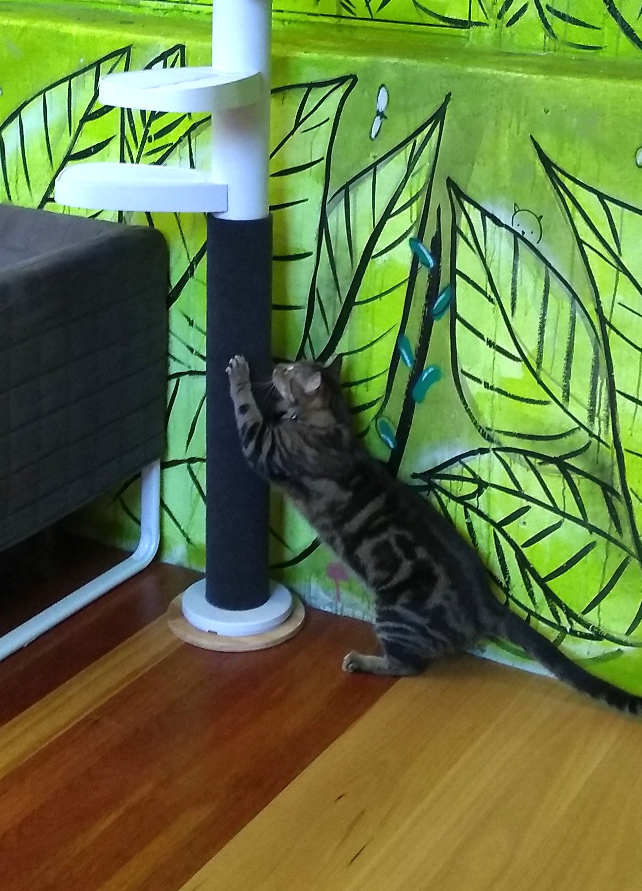 A tabby cat stretches out using their Monkee Tree Scratch Patch.